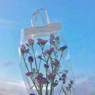 6686体育官网下载